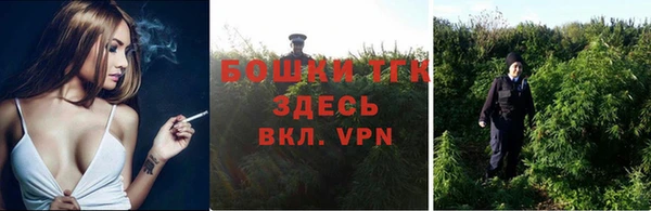 твердый Гусев