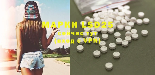 альфа пвп Медвежьегорск