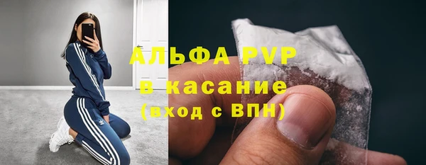твердый Гусев