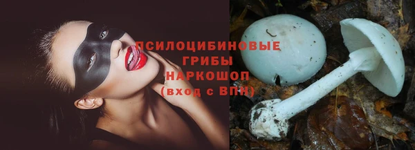 твердый Гусев