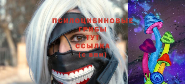 твердый Гусев