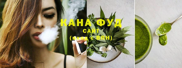 твердый Гусев