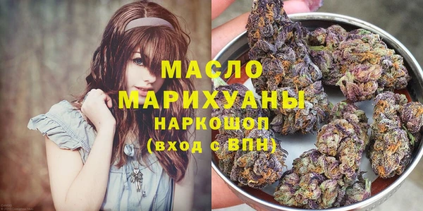 твердый Гусев