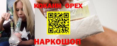 индика Гусев