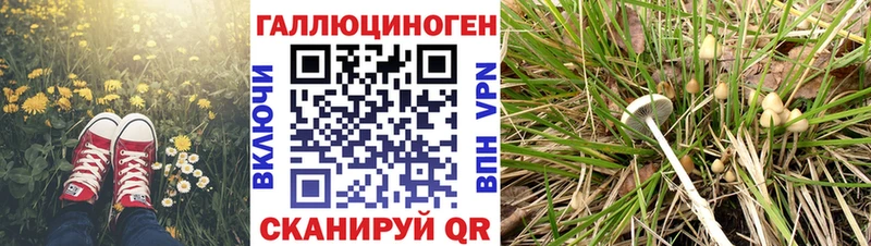 Псилоцибиновые грибы Magic Shrooms  mega сайт  Гусь-Хрустальный  где можно купить наркотик 