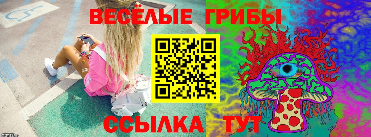 Псилоцибиновые грибы мухоморы Гусь-Хрустальный