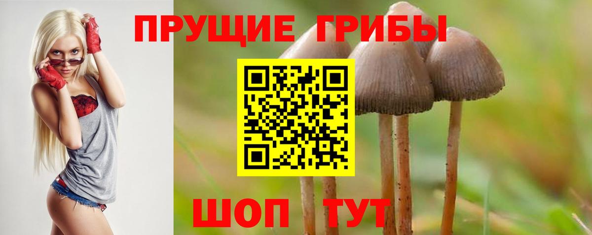 Галлюциногенные грибы Psilocybe  Вход с VPN  Гусь-Хрустальный 
